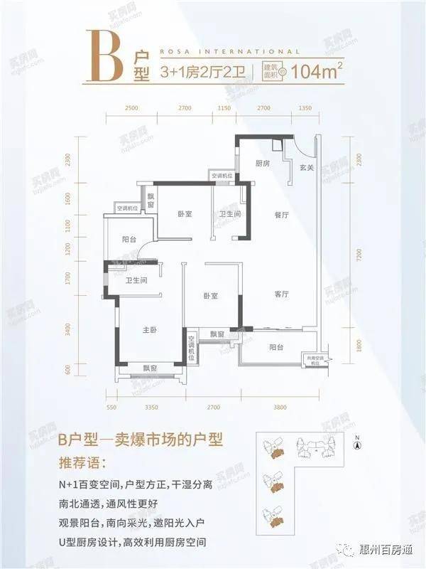 张宏良博客最新文章概览，深度解析与观点分享