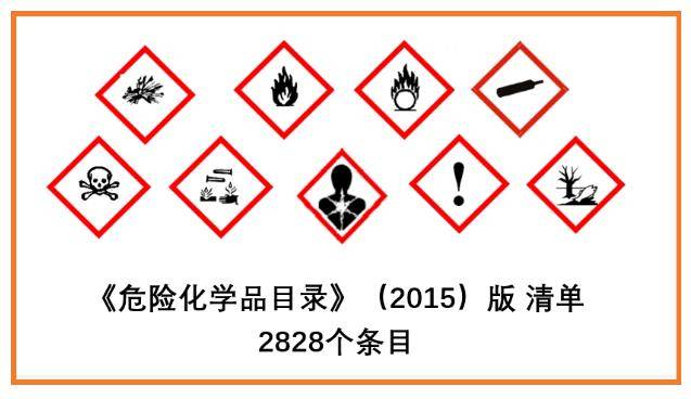 2025年1月9日 第16页